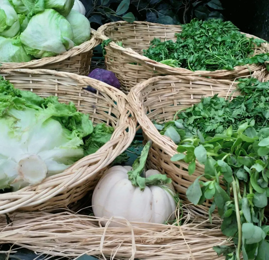Oval Produce Basket 50 cm, image 3 of 4